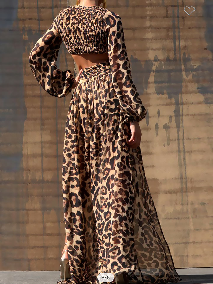Animal Print Maxi Dress - Image 2